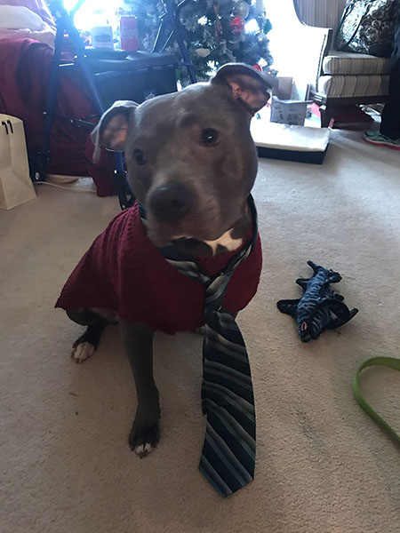 sammy in costume